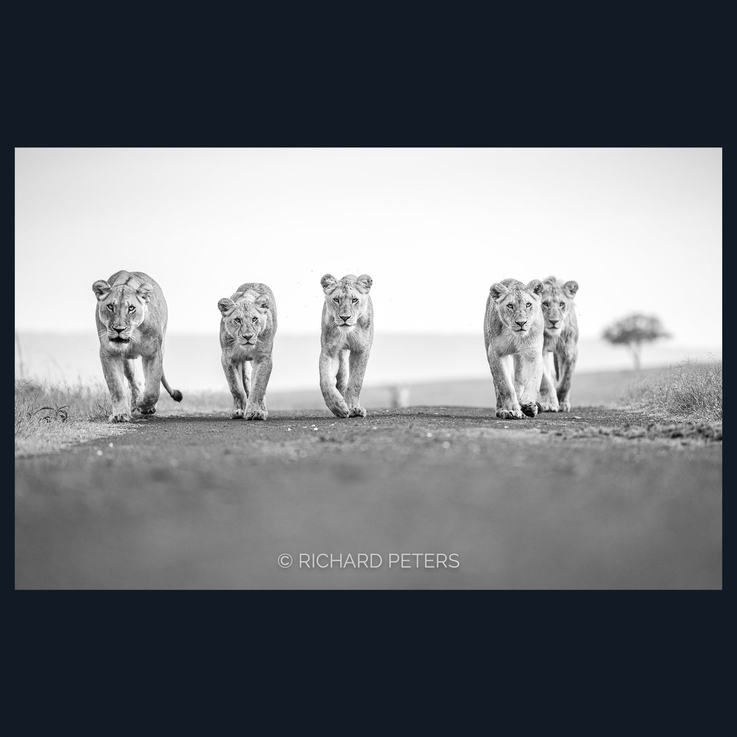 Family Pride