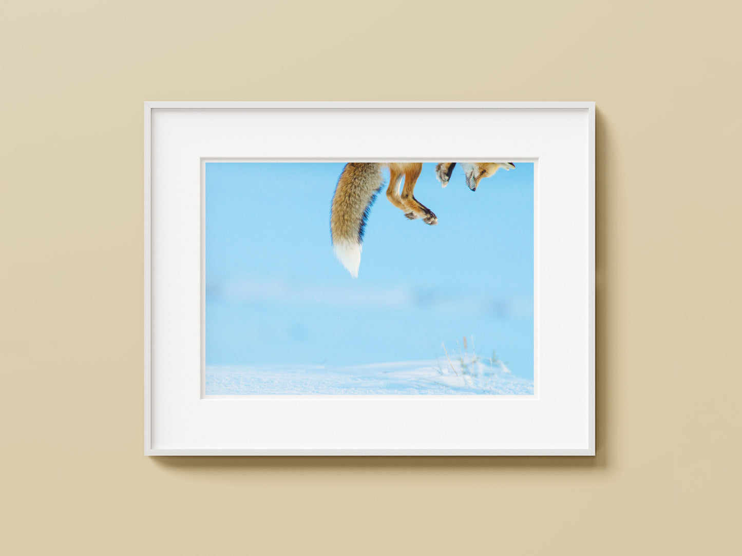 Snow Pounce
