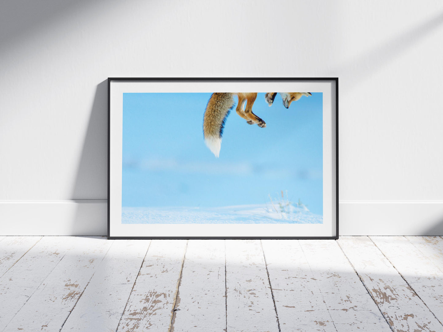 Snow Pounce